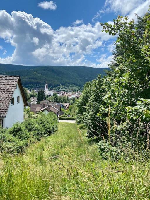 Exklusive 82 Qm Loftwohnung Mit Tiefgarage Und Sued-Balkon Zentral Titisee-Neustadt Eksteriør billede