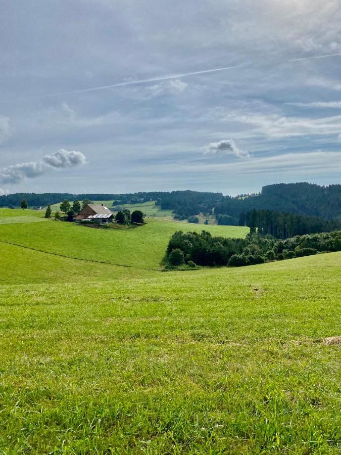 Exklusive 82 Qm Loftwohnung Mit Tiefgarage Und Sued-Balkon Zentral Titisee-Neustadt Eksteriør billede