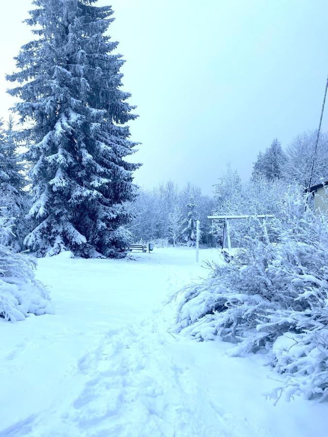 Exklusive 82 Qm Loftwohnung Mit Tiefgarage Und Sued-Balkon Zentral Titisee-Neustadt Eksteriør billede