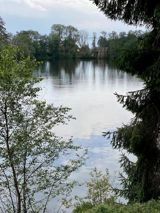 Exklusive 82 Qm Loftwohnung Mit Tiefgarage Und Sued-Balkon Zentral Titisee-Neustadt Eksteriør billede