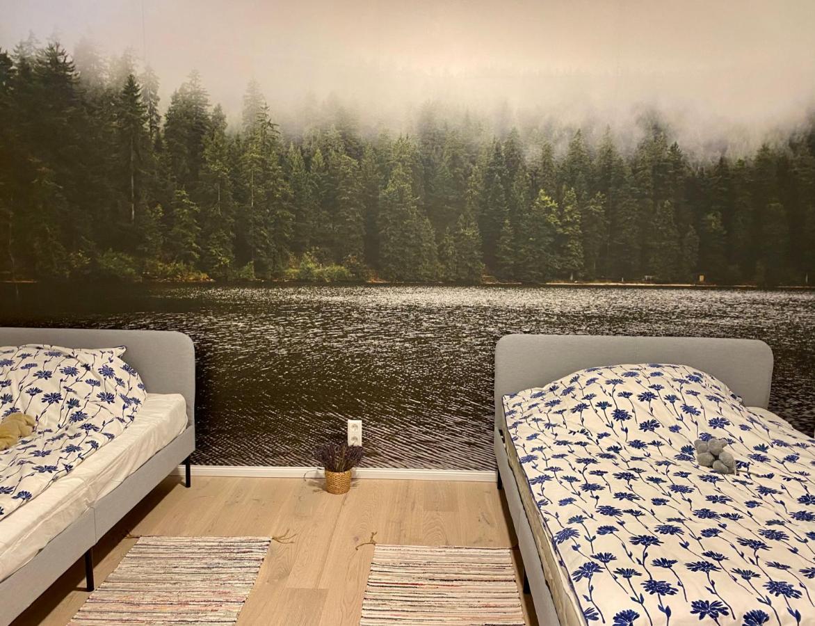 Exklusive 82 Qm Loftwohnung Mit Tiefgarage Und Sued-Balkon Zentral Titisee-Neustadt Eksteriør billede