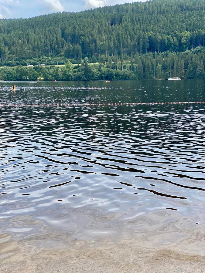 Exklusive 82 Qm Loftwohnung Mit Tiefgarage Und Sued-Balkon Zentral Titisee-Neustadt Eksteriør billede