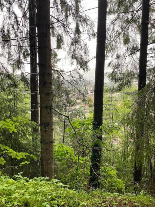 Exklusive 82 Qm Loftwohnung Mit Tiefgarage Und Sued-Balkon Zentral Titisee-Neustadt Eksteriør billede