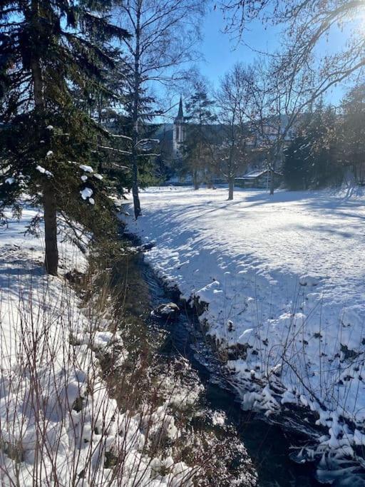 Exklusive 82 Qm Loftwohnung Mit Tiefgarage Und Sued-Balkon Zentral Titisee-Neustadt Eksteriør billede