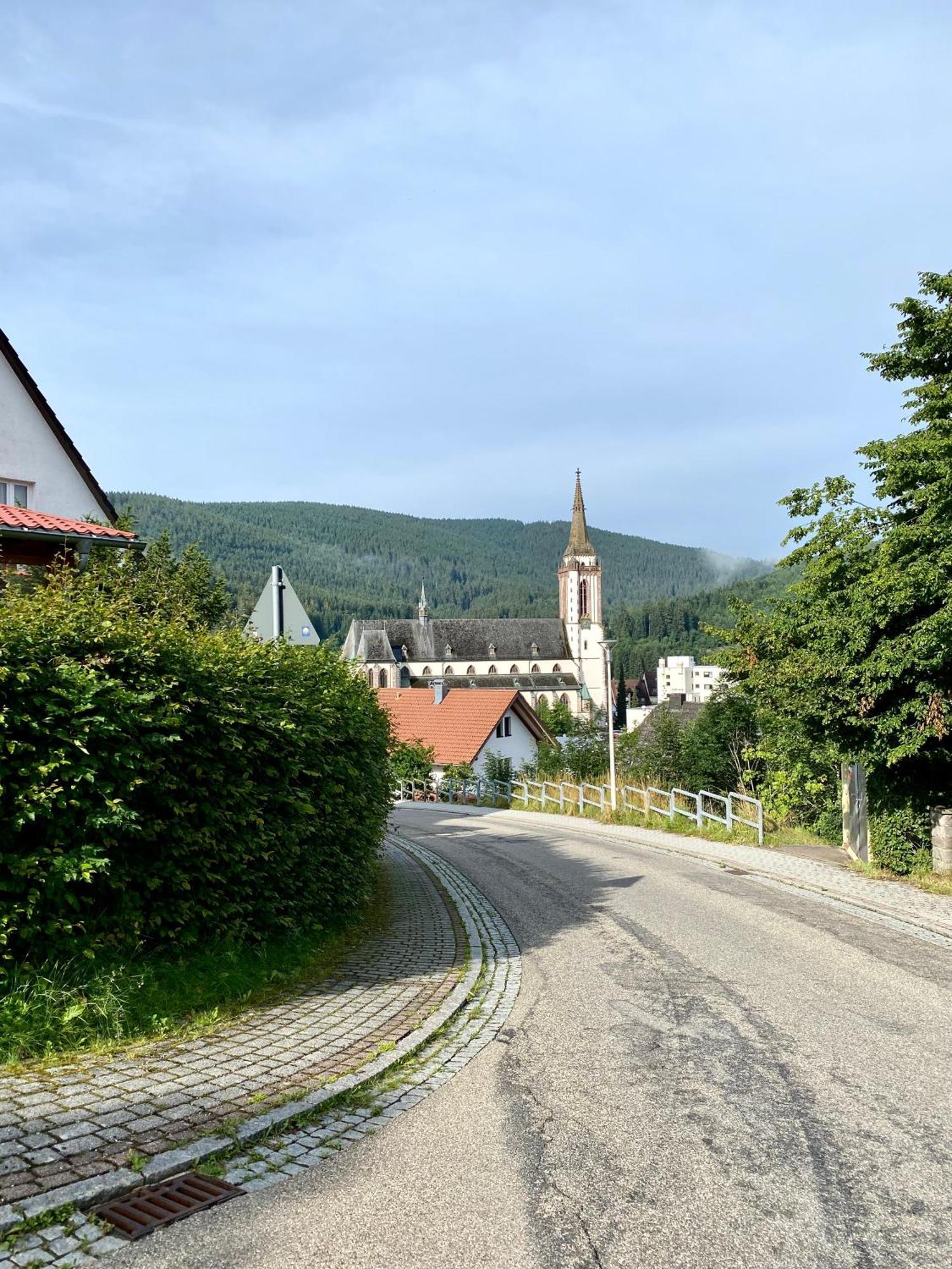 Exklusive 82 Qm Loftwohnung Mit Tiefgarage Und Sued-Balkon Zentral Titisee-Neustadt Eksteriør billede